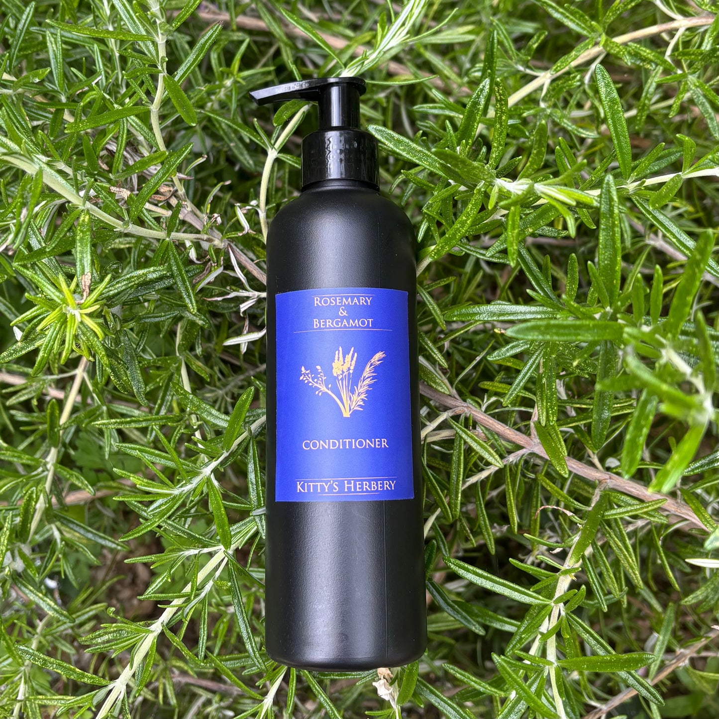 Rosemary & Bergamot Conditioner